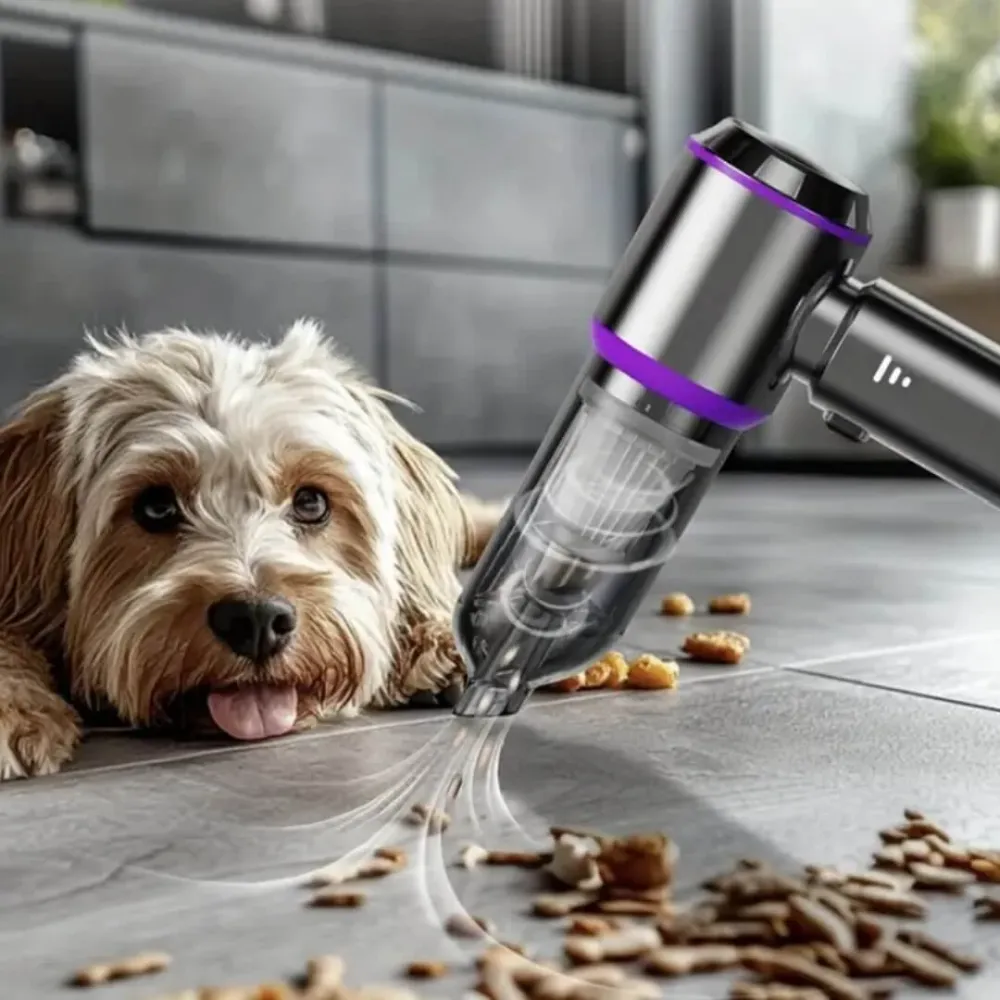 Aspirateur à main | FaciliPoussière™
