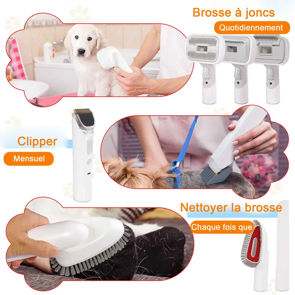 Aspirateur poil de chien 13000Pa 2,5L récipient aspirateur poil de chien chat professionnelle 5 outils de toilettage pour...