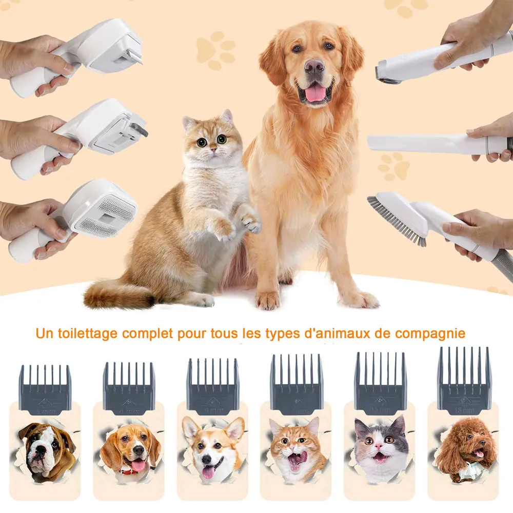 Aspirateur poil de chien 13000Pa 2,5L récipient aspirateur poil de chien chat professionnelle 5 outils de toilettage pour...