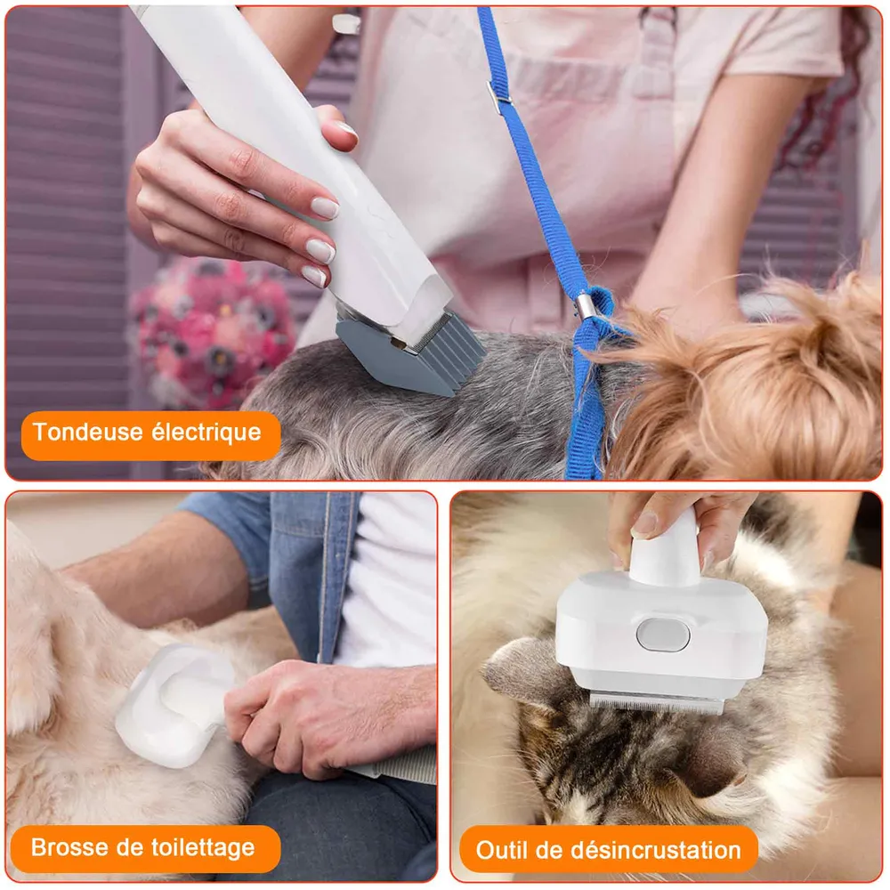 Aspirateur poil de chien 13000Pa 2,5L récipient aspirateur poil de chien chat professionnelle 5 outils de toilettage pour...
