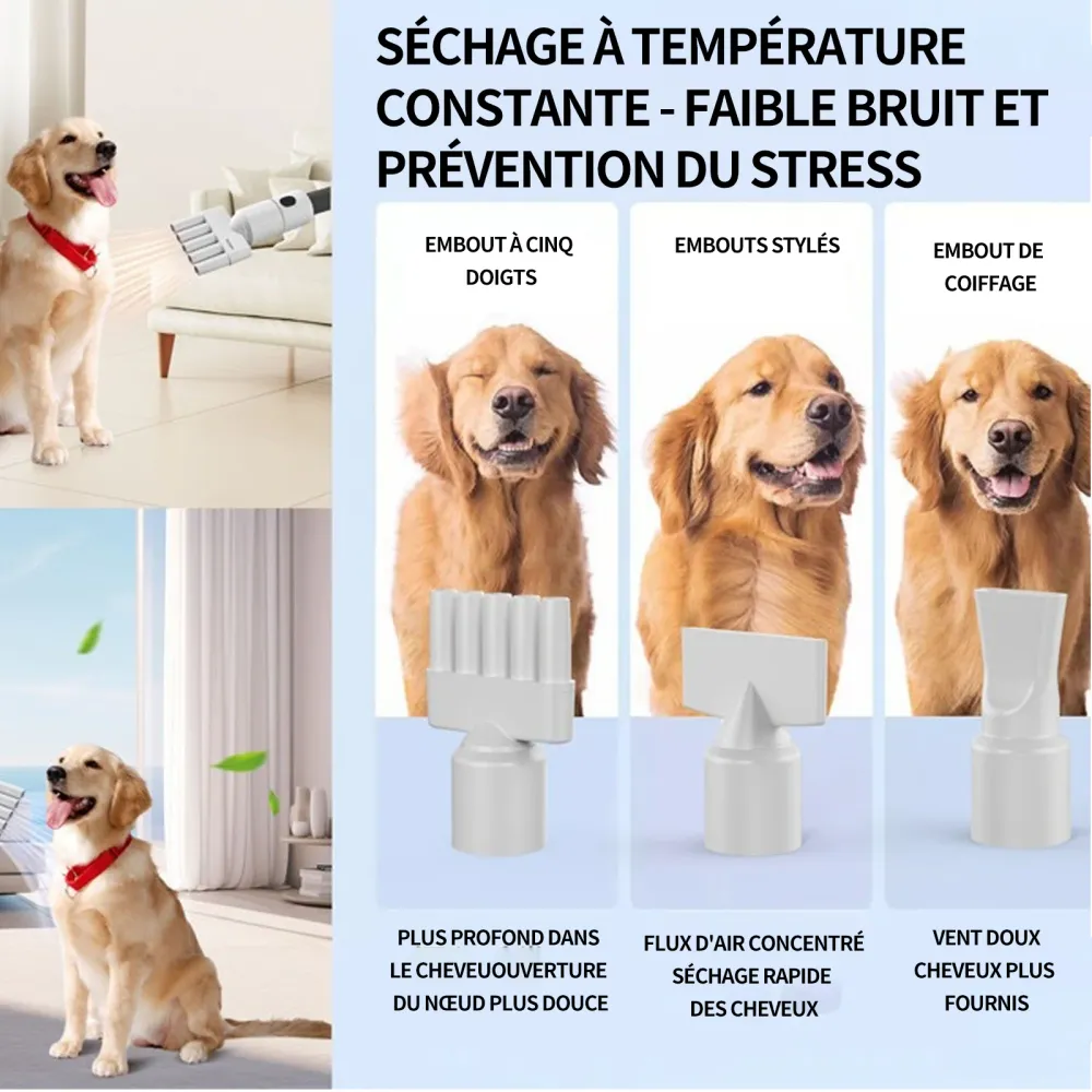 Aspirateur poil de chien 14kPa chat avec divers outils de toilettage 3L silencieuse ultra récipient pour tous les chiens e...