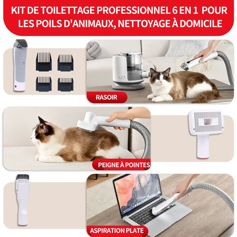 Aspirateur poil de chien 14kPa chat avec divers outils de toilettage 3L silencieuse ultra récipient pour tous les chiens e...