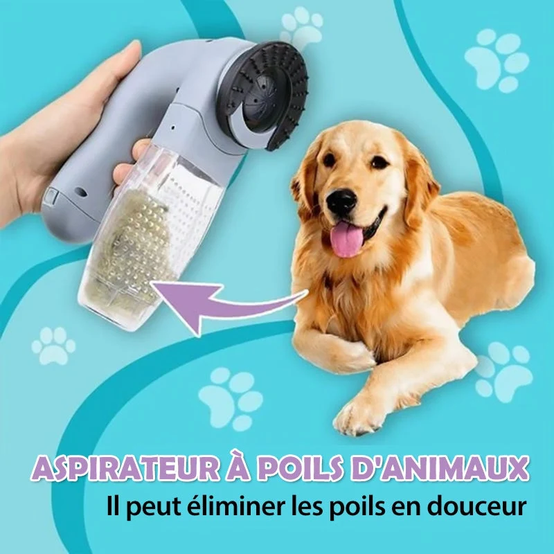 Aspirateur à Poils d'Animaux