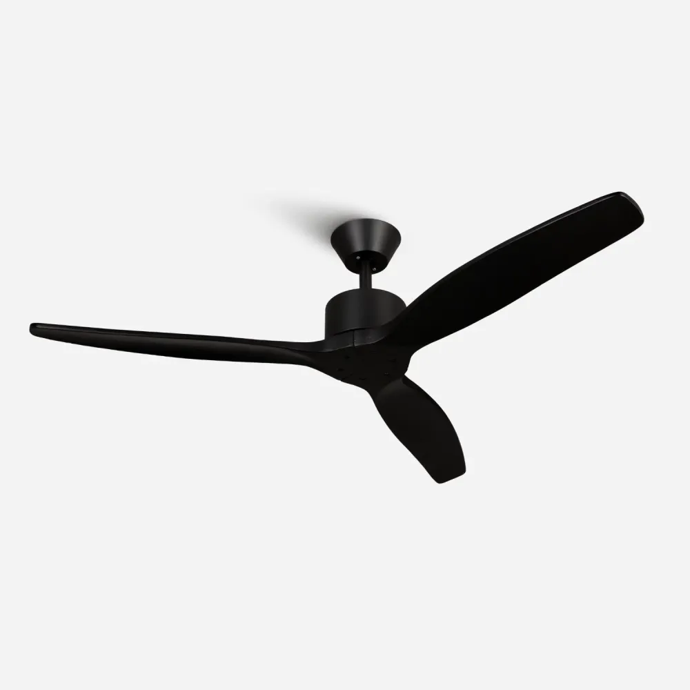 Brizy Black - FP