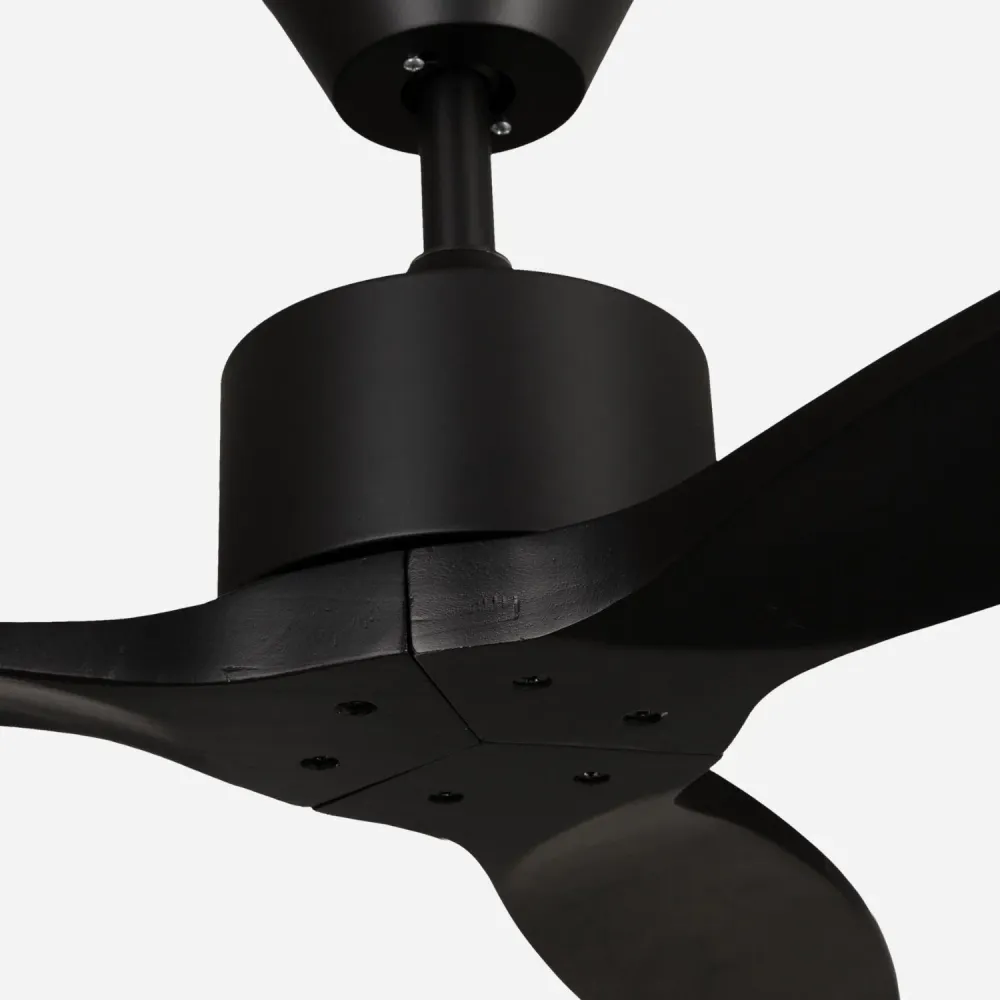 Brizy Black - FP