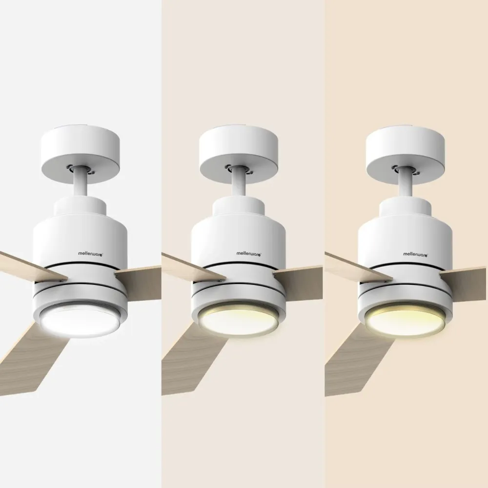Brizy Bright Core - FP
