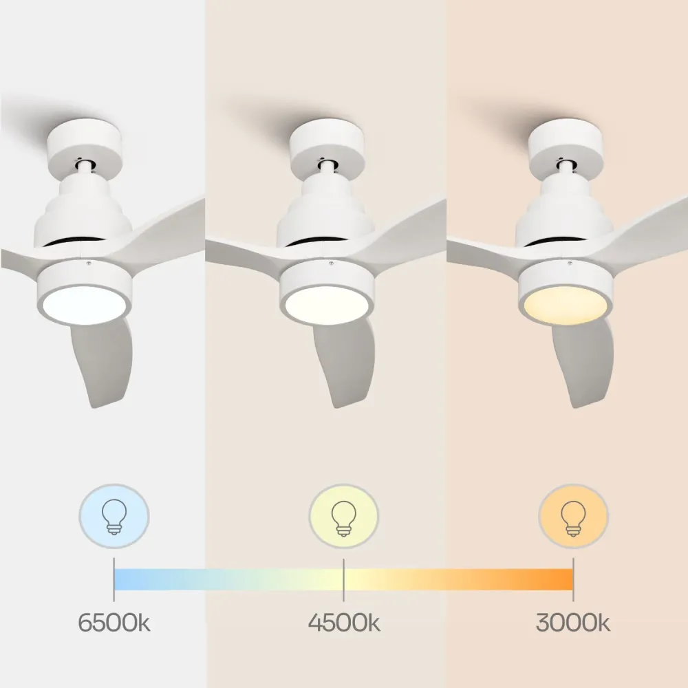 Brizy Bright White