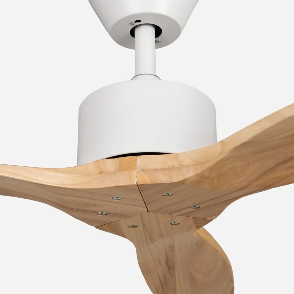 Brizy Light Wood - FP