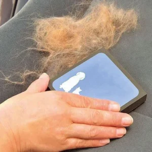 Brosse de nettoyage de poils pour animaux de compagnie