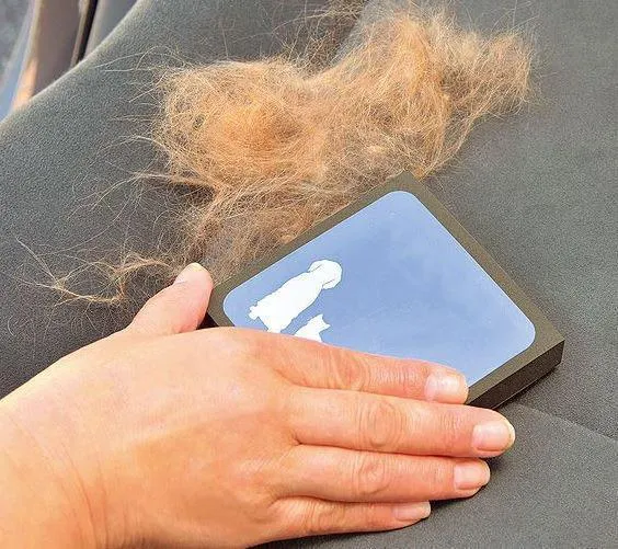 Brosse de nettoyage de poils pour animaux de compagnie