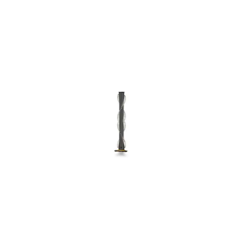 Brosse à rouleau pour outil d'entretien de tapis