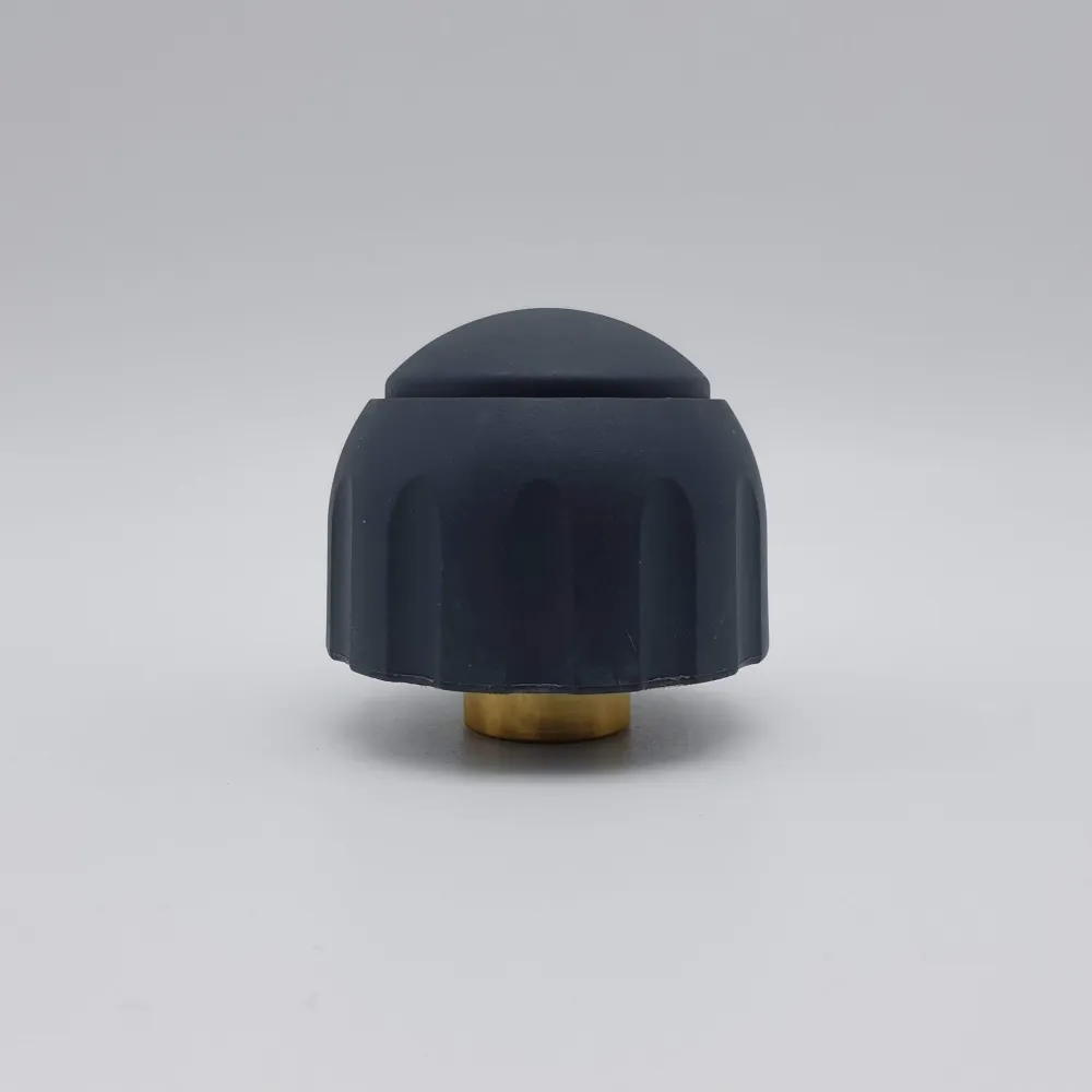Capeur de chaudière 1/2 féminine Vaporetto Eco Pro 3000 Poli