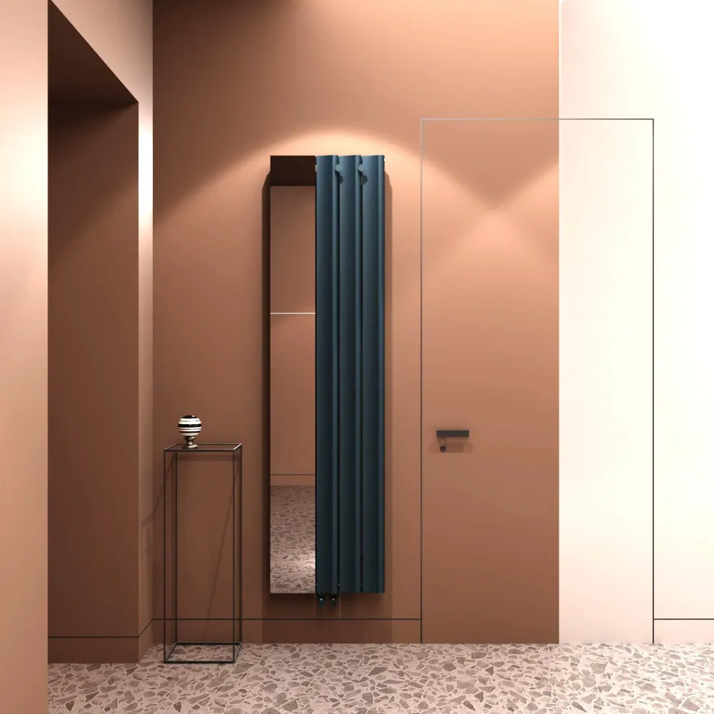 Carisa Entree Radiateur en Aluminium Vertical Design Moderne Anthracite
