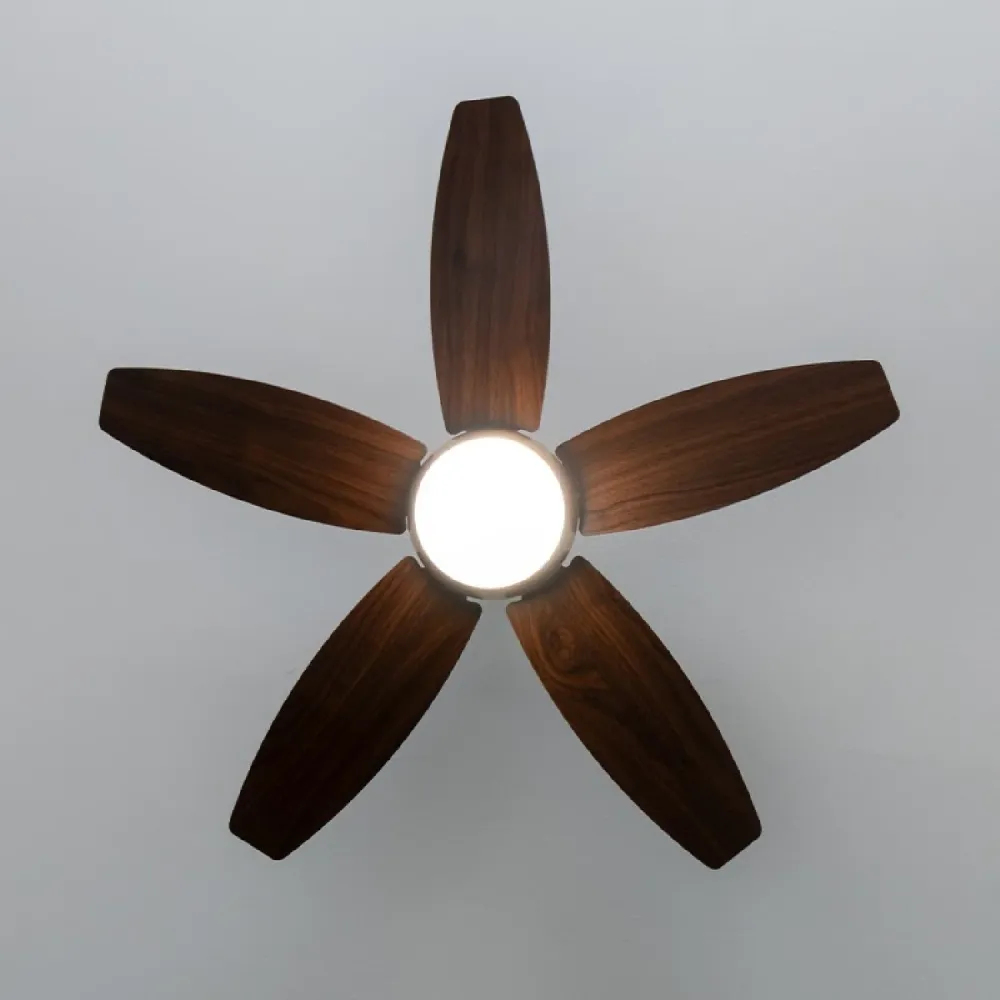 Cecotec EnergySilence Aero 4200 GoldDarkWood