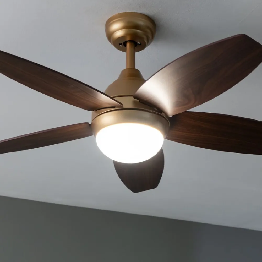 Cecotec EnergySilence Aero 4200 GoldDarkWood