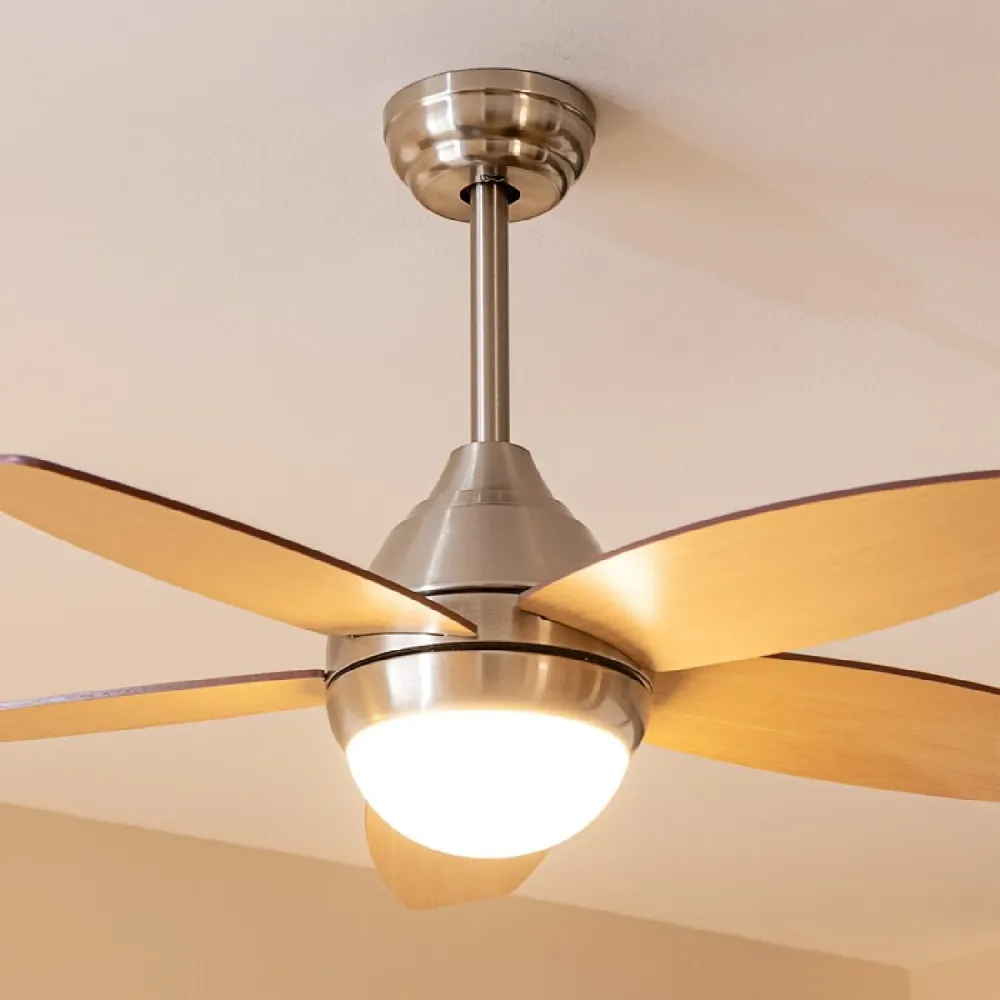 Cecotec Ventilateur de plafond EnergySilence Aero 495
