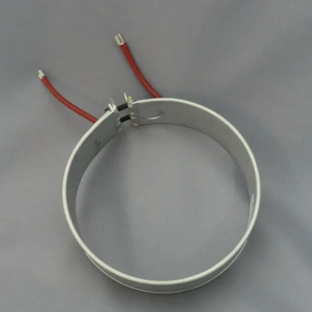 Diamètre de résistance de bande 160x45mm 1000W pour la chaudière Bieffe