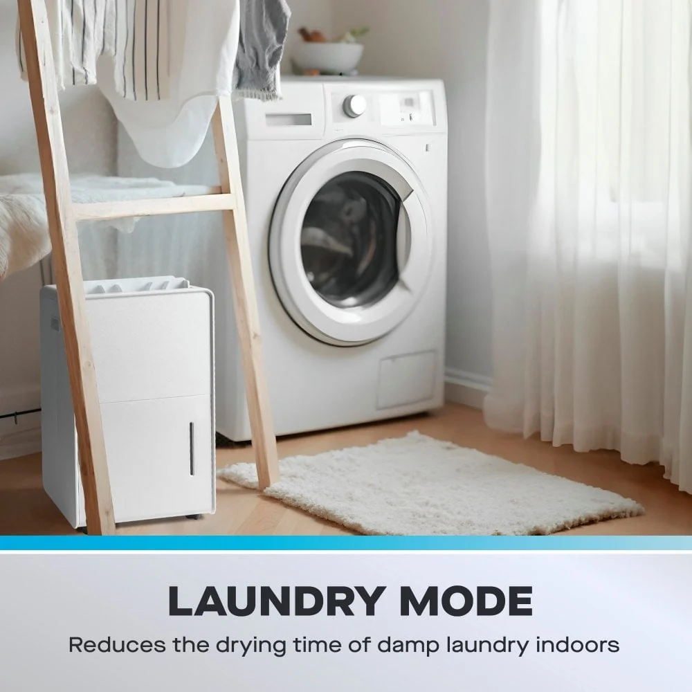 Déshumidificateur Daewoo 20L avec purificateur d'air
