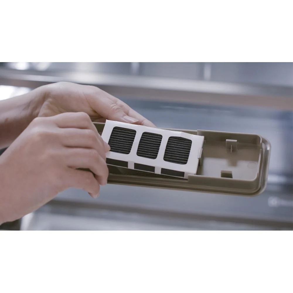 Electrolux PureAdvantage™ AF-2™ filtre à air ELXPAAF2