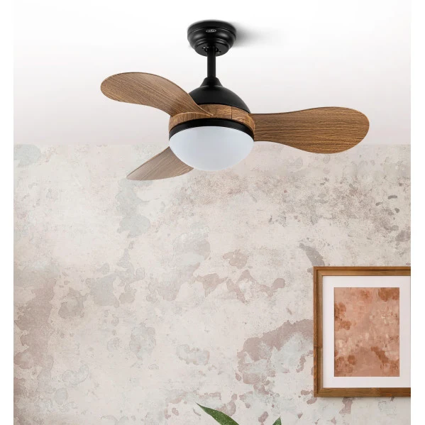 Ventilateur de plafond Fabrilamp Solido en métal noir
