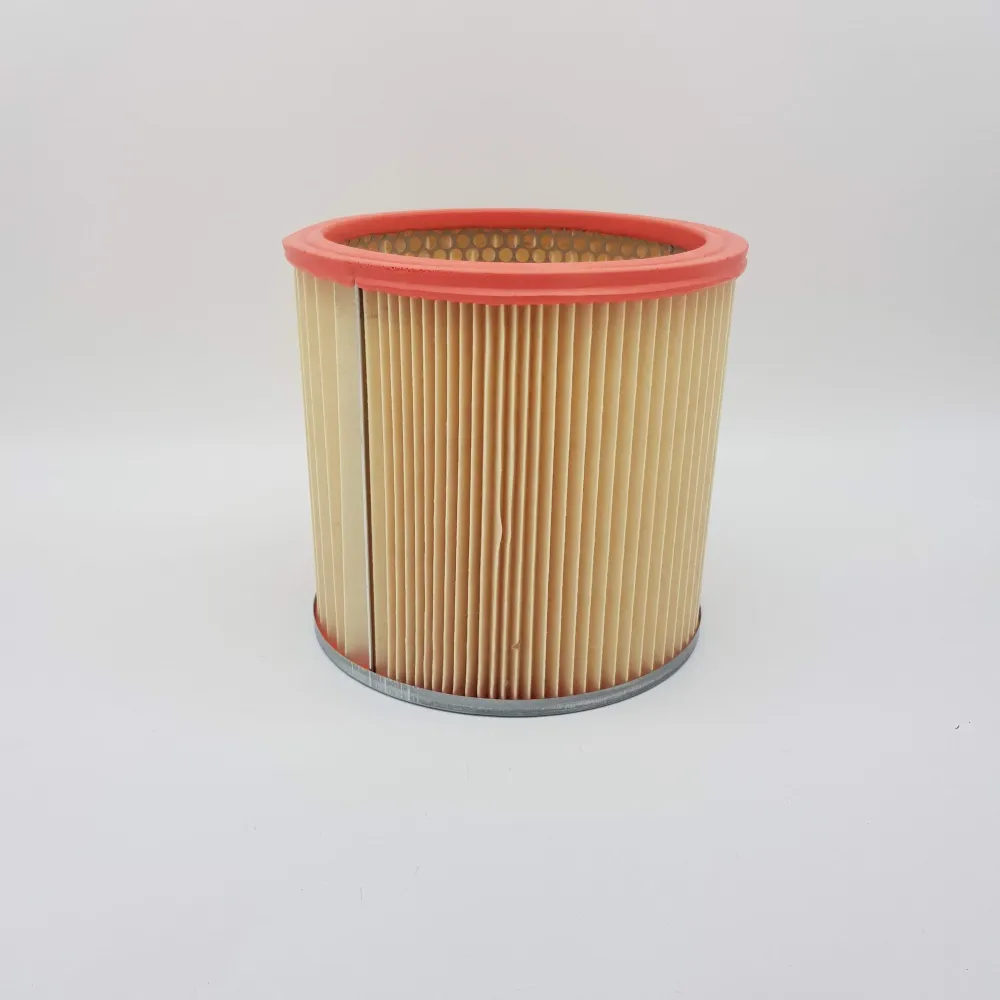 Filtre laminé pour Bidon Hoover S4496