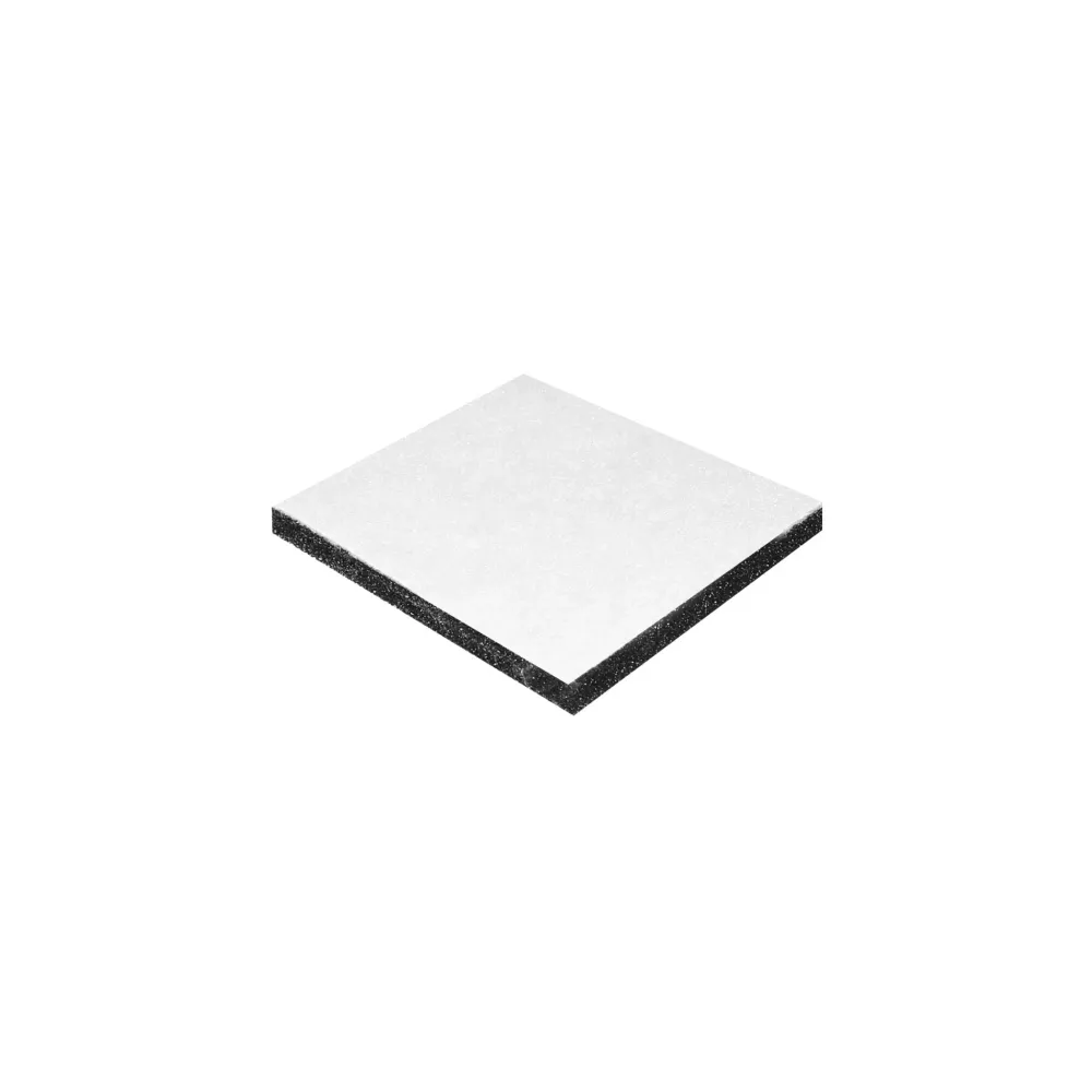 Filtre secondaire - Carpet Pro CPU1 CPU2T CPU4 CPU4T