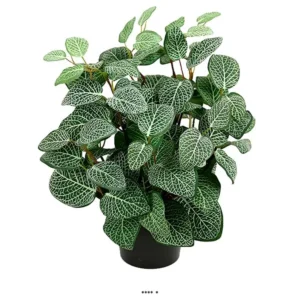 Fitonnia artificiel en pot H 34 cm, D 26 cm Vert-Blanc