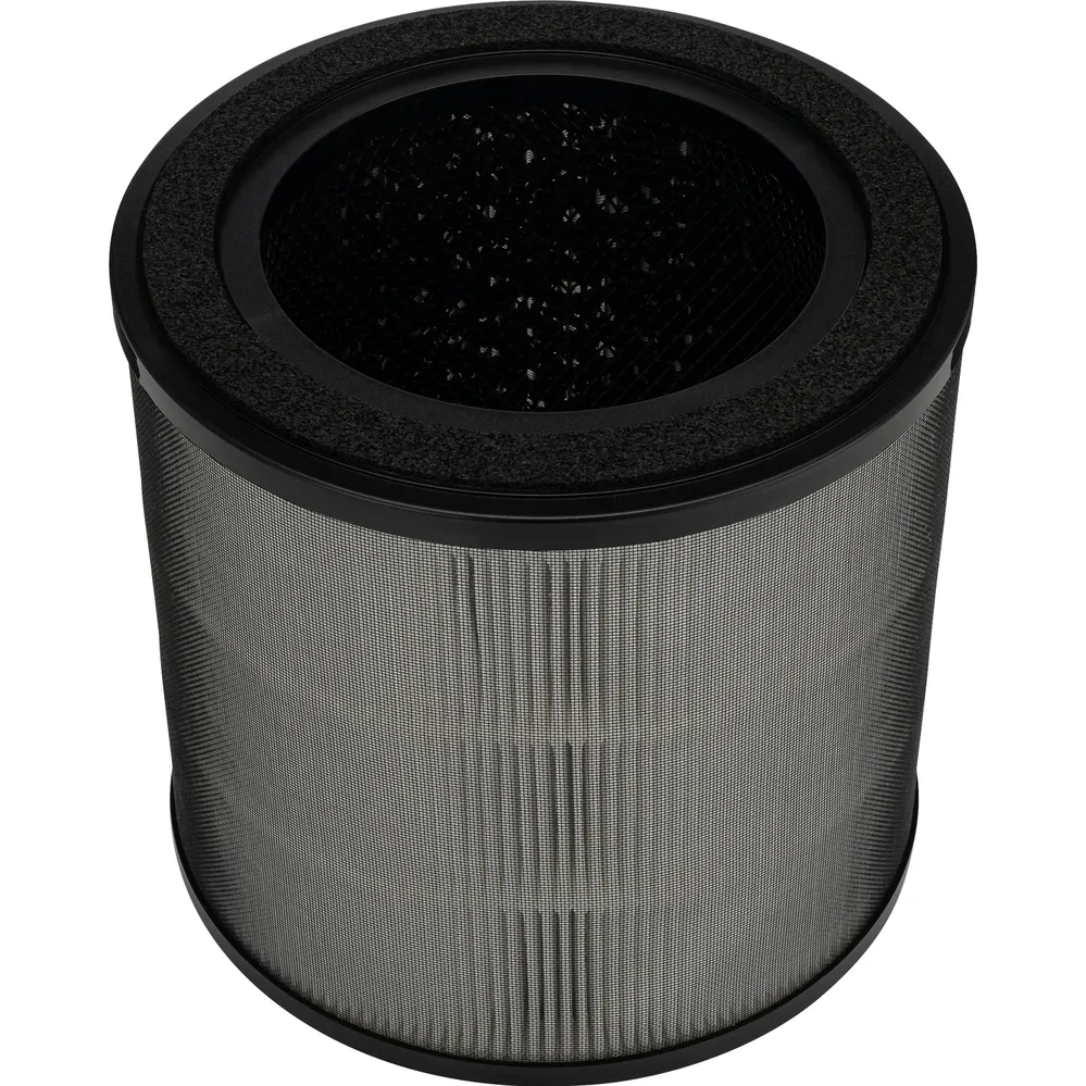 Frigidaire Accessoires pour purificateur d'air et ventilateur Filtre(s) RAC-16
