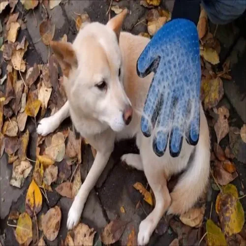 GANIMA™ :Brosse de nettoyage efficace pour animaux de compagnie/ Outil de massage avec cinq doigts de conception améliorée