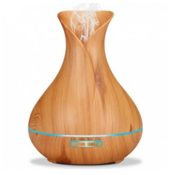 Humidificateur Ultrasonique 3 en 1 | Petits Espaces