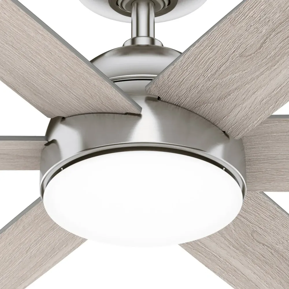 Hunter - Ventilateur de plafond Anza de 52 po