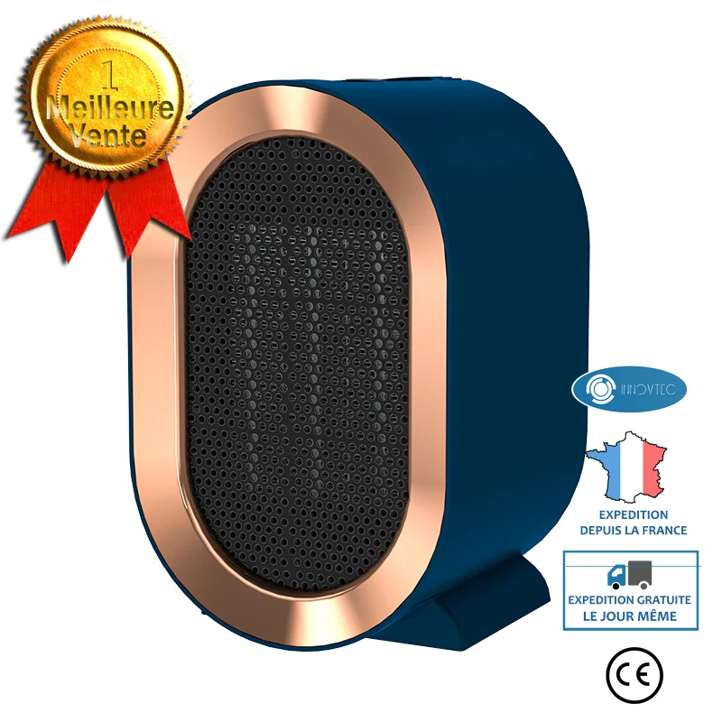 INN® Appareil de chauffage, petit appareil de chauffage domestique, appareil de chauffage de bureau portable,appareil chau...