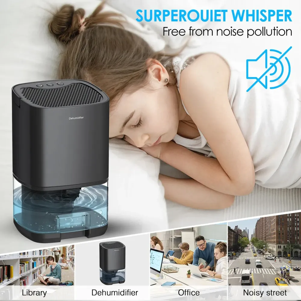 Déshumidificateur d'Air 2 en 1 Silencieux - Déshumifie & Purifie La Boutique du Bricolage