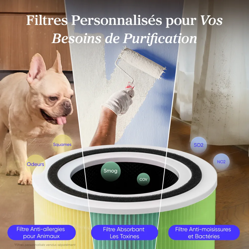 Levoit purificateur d'air Core 300