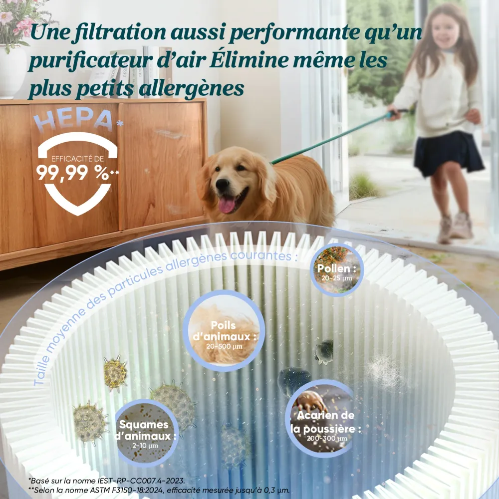 Levoit SDC01 Aspirateur Sans Fil Anti-Enchevêtrement, 60 min, Noir & Blanc