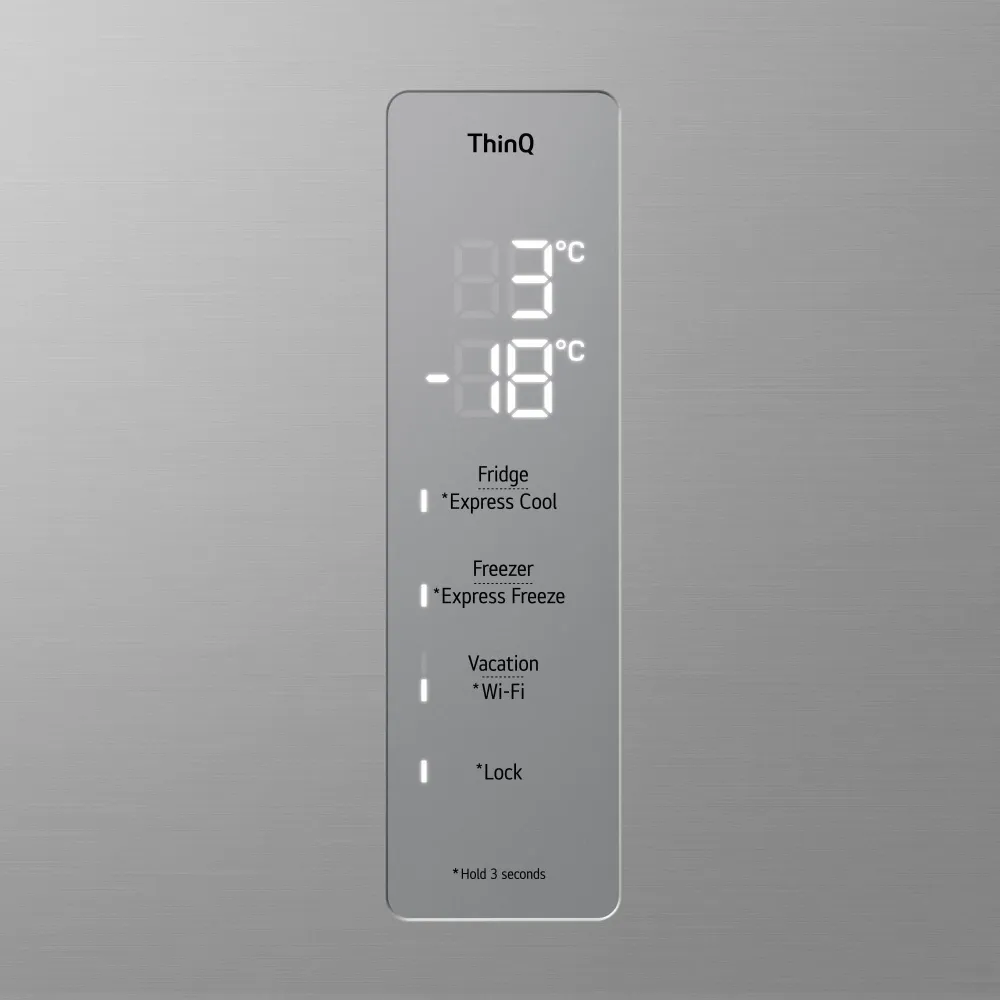 Réfrigérateur Avec Congélateur Reconditionné LG GBV5250EPY