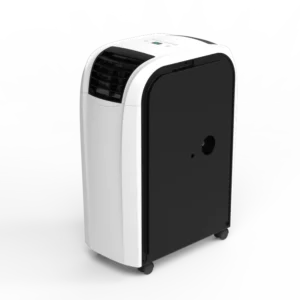 Polyvalent 5,3 kW (18 000 BTU/h)