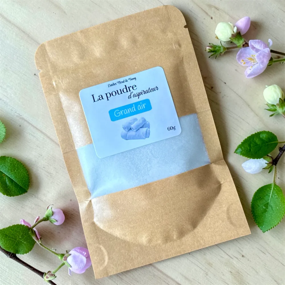 La poudre d’aspirateur 60g - Grand air