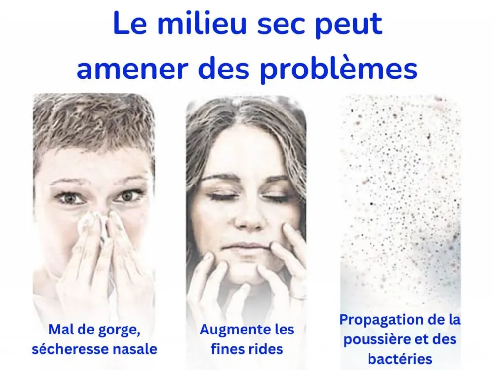 Humidificateur P8000 4 en 1 Protech Allergies