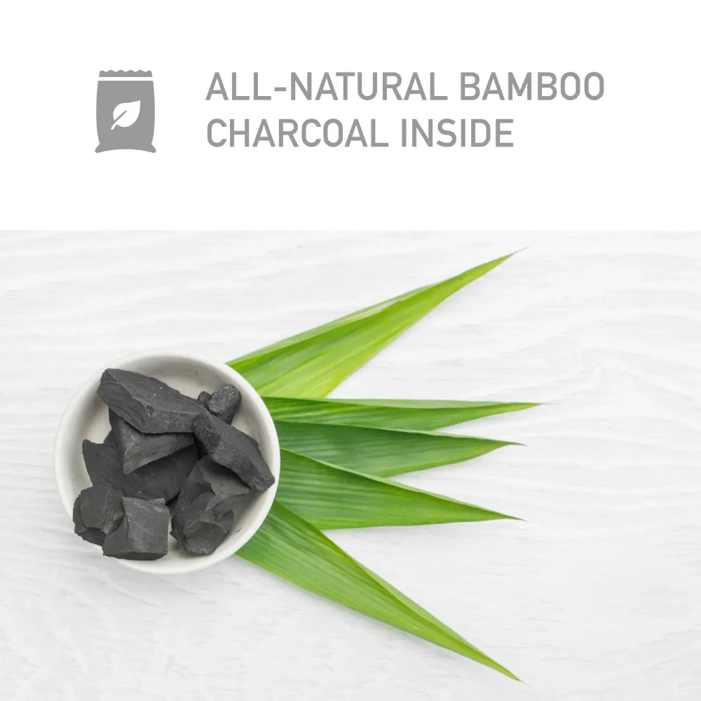 PureGuardian CB200 Sac purificateur d'air au charbon de bambou 200 g