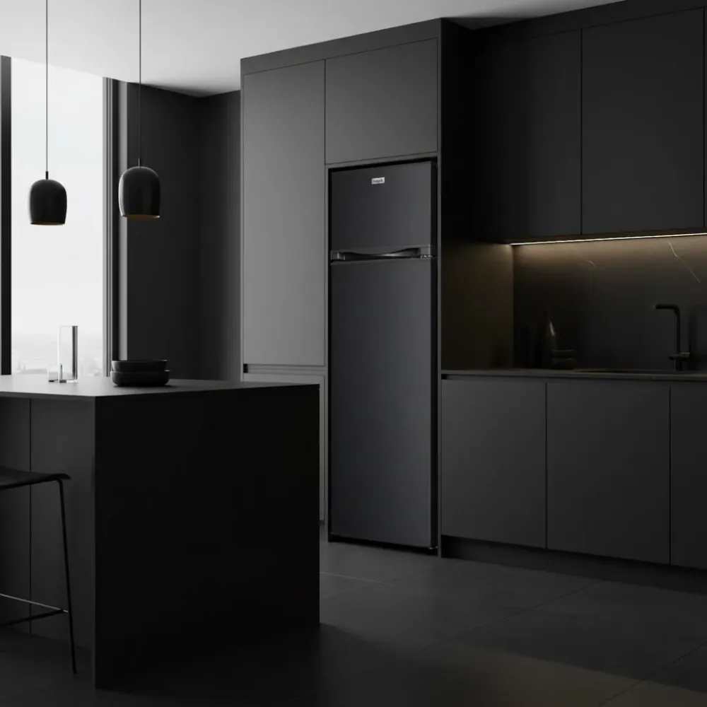 Réfrigérateur FRIGELUX RDP215NE double porte noir 205L
