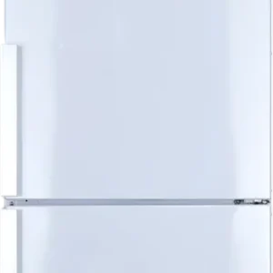 Réfrigérateur Avec Congélateur 375 L Reconditionné SAMSUNG RL58GEGSW