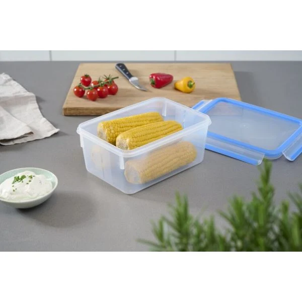Masterseal Fresh 2.3 L TEFAL