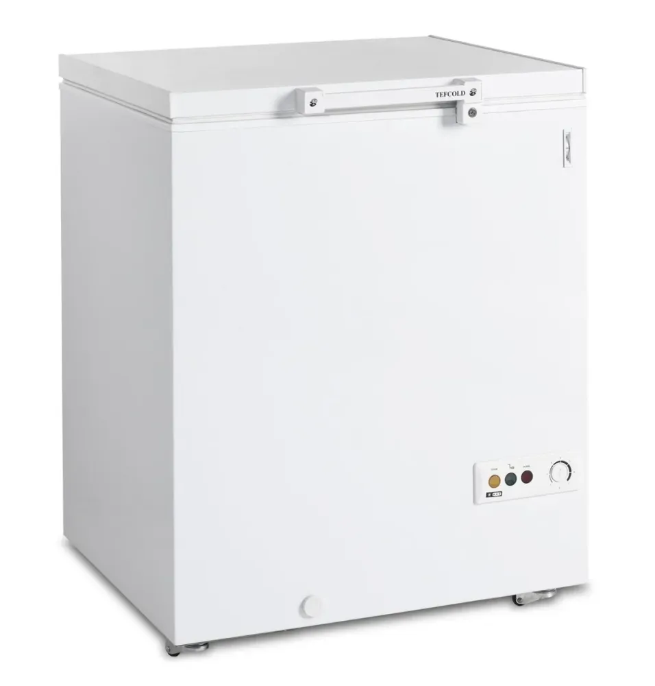 Coffre congélateur Tefcold FR 205