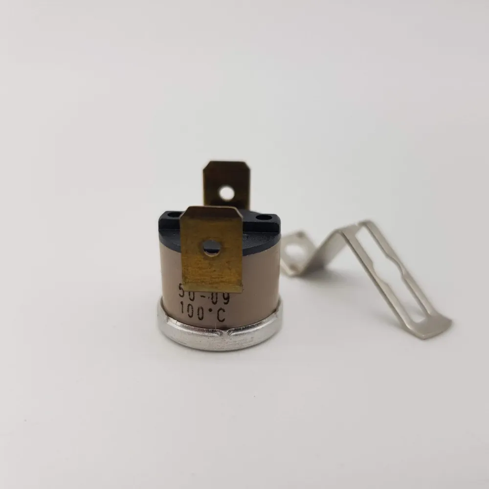 Thermostat NA 100 ° C pour Vaporella Forever 400 Polti