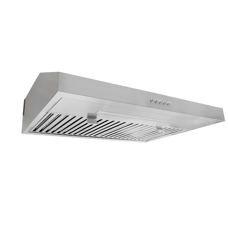 Vesta Hotte de cuisinière Chicago 750CFM 24 pouces en acier inoxydable, montage sous armoire Sous