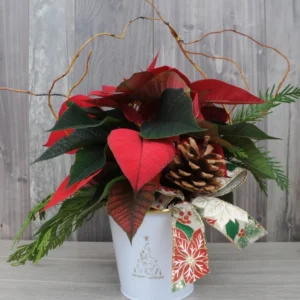 Poinsettia chic & classique À la Boîte à Fleurs de Laval inc.