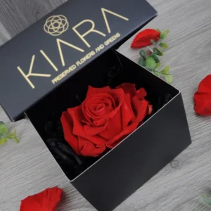 Rose éternelle en coffret À la Boîte à Fleurs