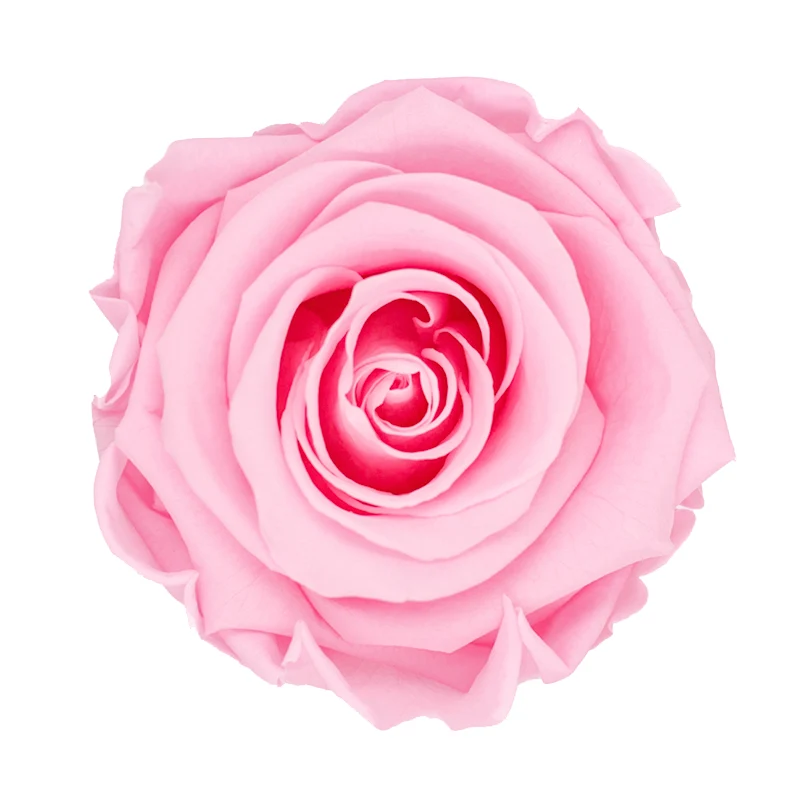 Rose éternelle en coffret À la Boîte à Fleurs