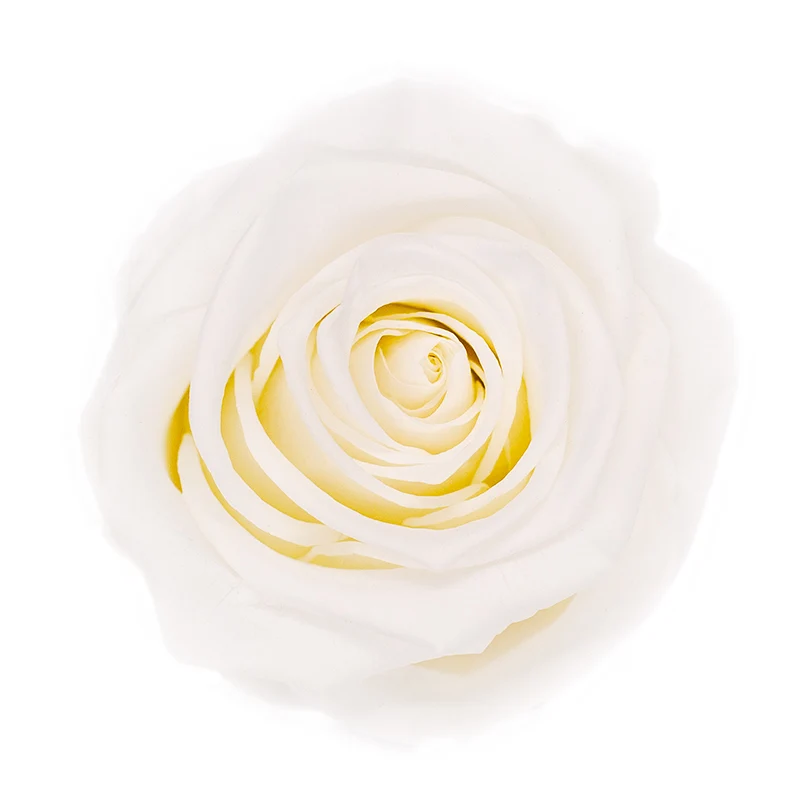 Rose éternelle en coffret À la Boîte à Fleurs